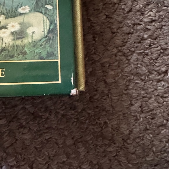 The Bobbsey Twins 75th Anniversary Commemorative Editions - Picture 7 of 8